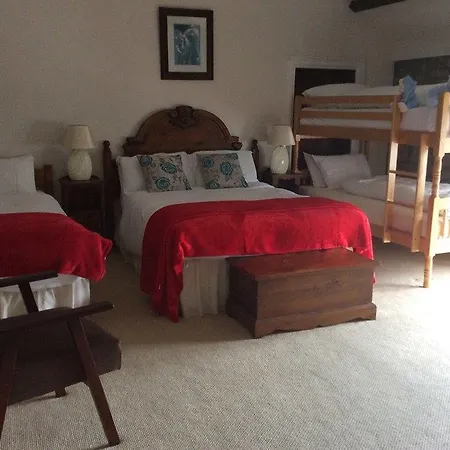 Guest house Guest Accomodation *